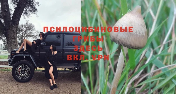 гашик Приозерск