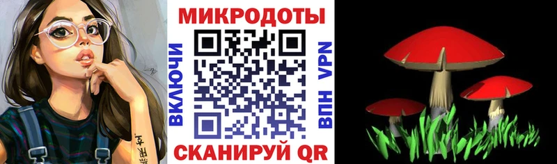 Галлюциногенные грибы ЛСД  Байкальск 